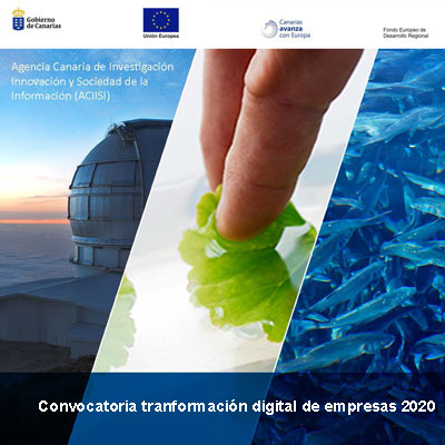 subvenciones transformacion digital empresas 2020
