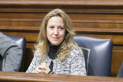 rosa davila comercio electronico parlamento canarias